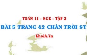 Bài 5 trang 42 Toán 11 Tập 2 Chân trời sáng tạo